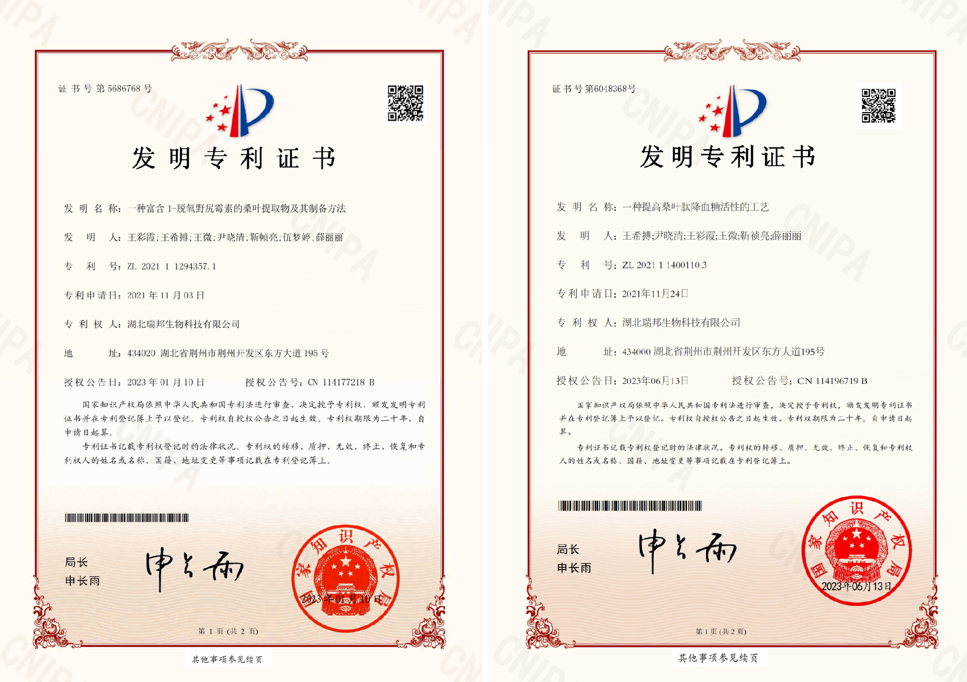 48aa2bde-5ce8-4131-b34b-462cbbc8590a.png